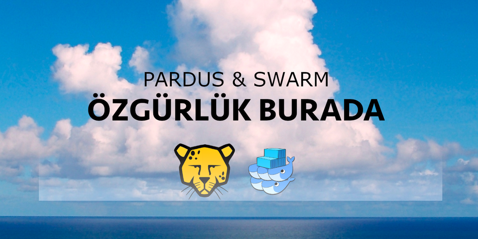 PARDUS SERVER ÜZERİNDE DOCKER SWARM KURULUMU